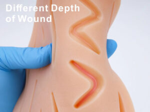 Advanced Dissection suture Kit - Image 2